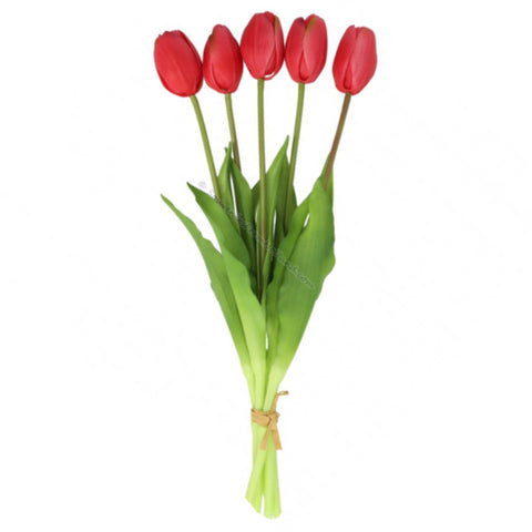 19" Red Tulip Bundle