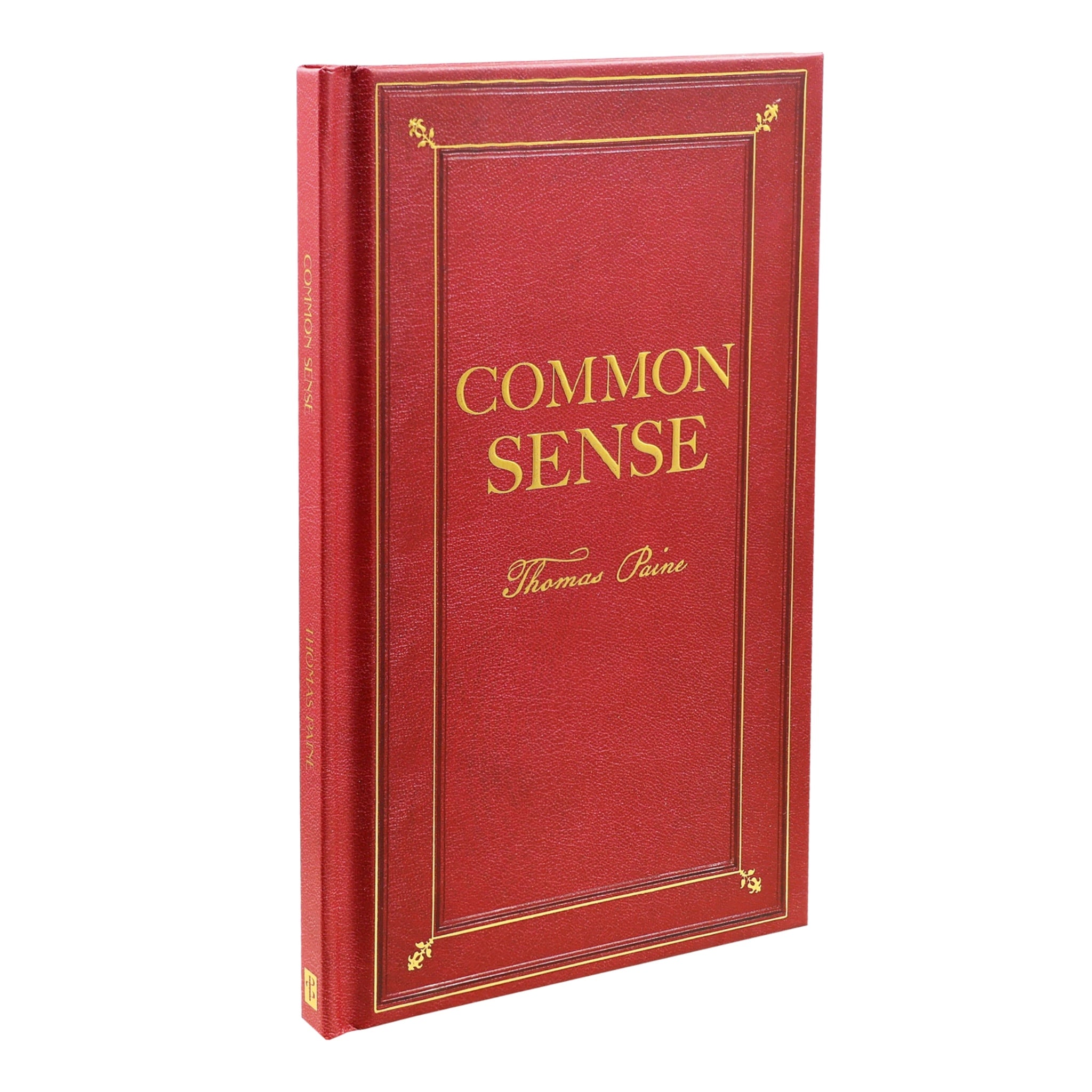 Common Sense Novel