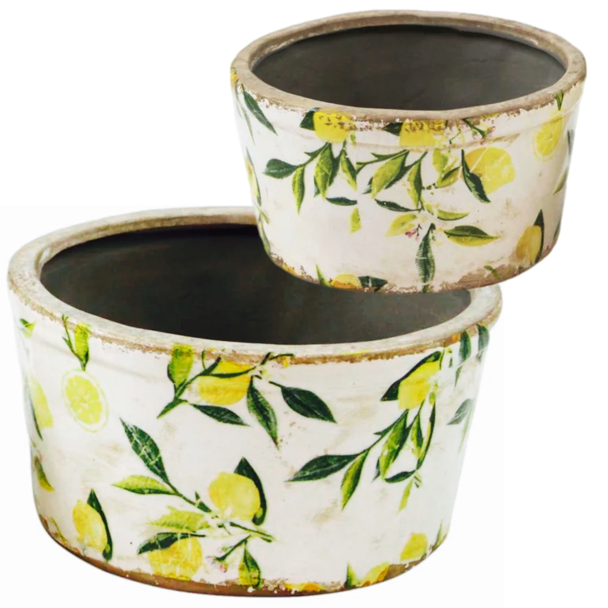 Assorted Lemon Planter, INDIVIDUALLY SOLD