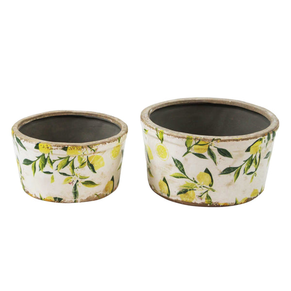 Assorted Lemon Planter, INDIVIDUALLY SOLD