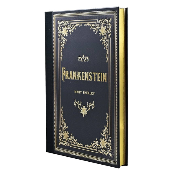 Frankenstein Novel