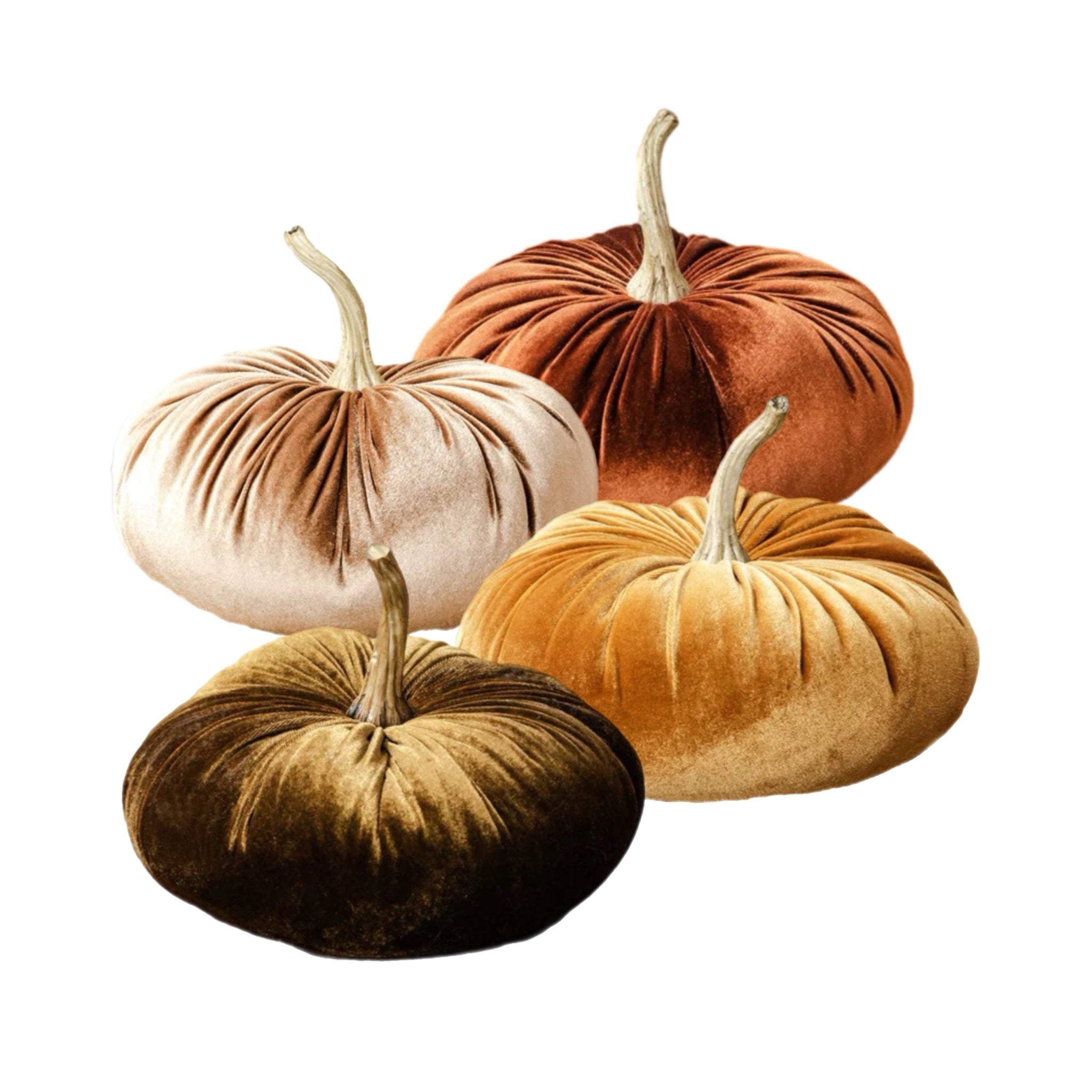 Assorted Medium Velvet Pumpkin, INDIVIDUALLY SOLD