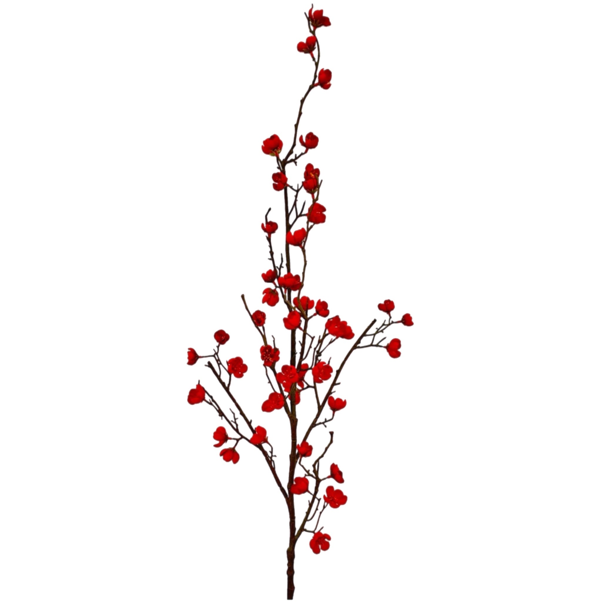 34" Red Quince Blossom Spray
