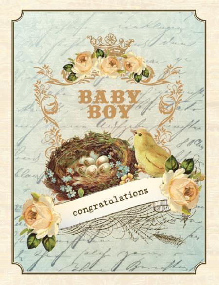 Baby Boy Congratulations Greeting Card