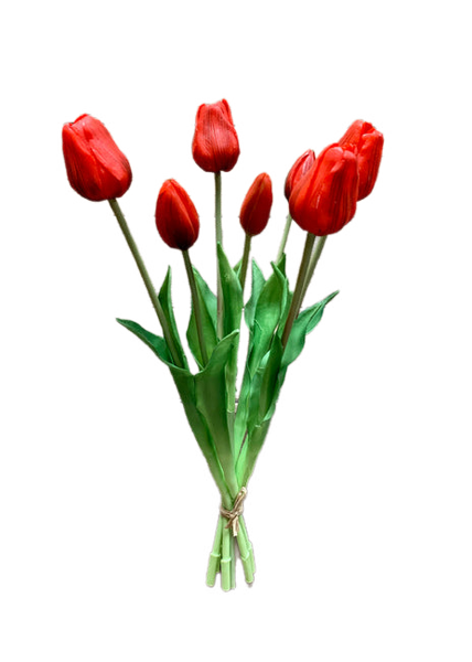 19" Red Tulip Bundle