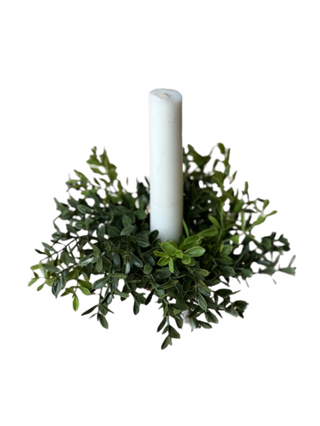 Boxwood Taper Candle Ring