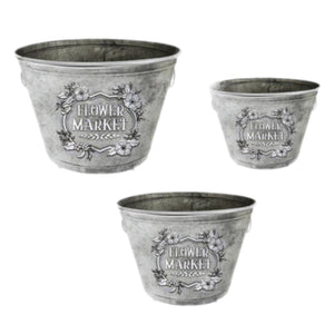 Assorted Flower Market Planter, INDIVIDUALLY SOLD