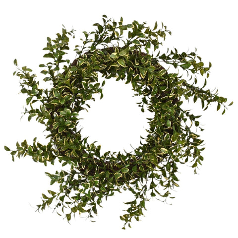 16" Variegated Boxwood Wreath