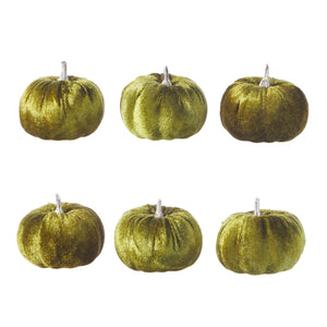Chartreuse Velvet Pumpkins, Set Of 6