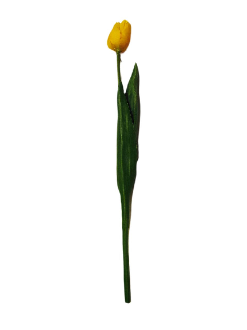 18" Yellow Tulip Stem